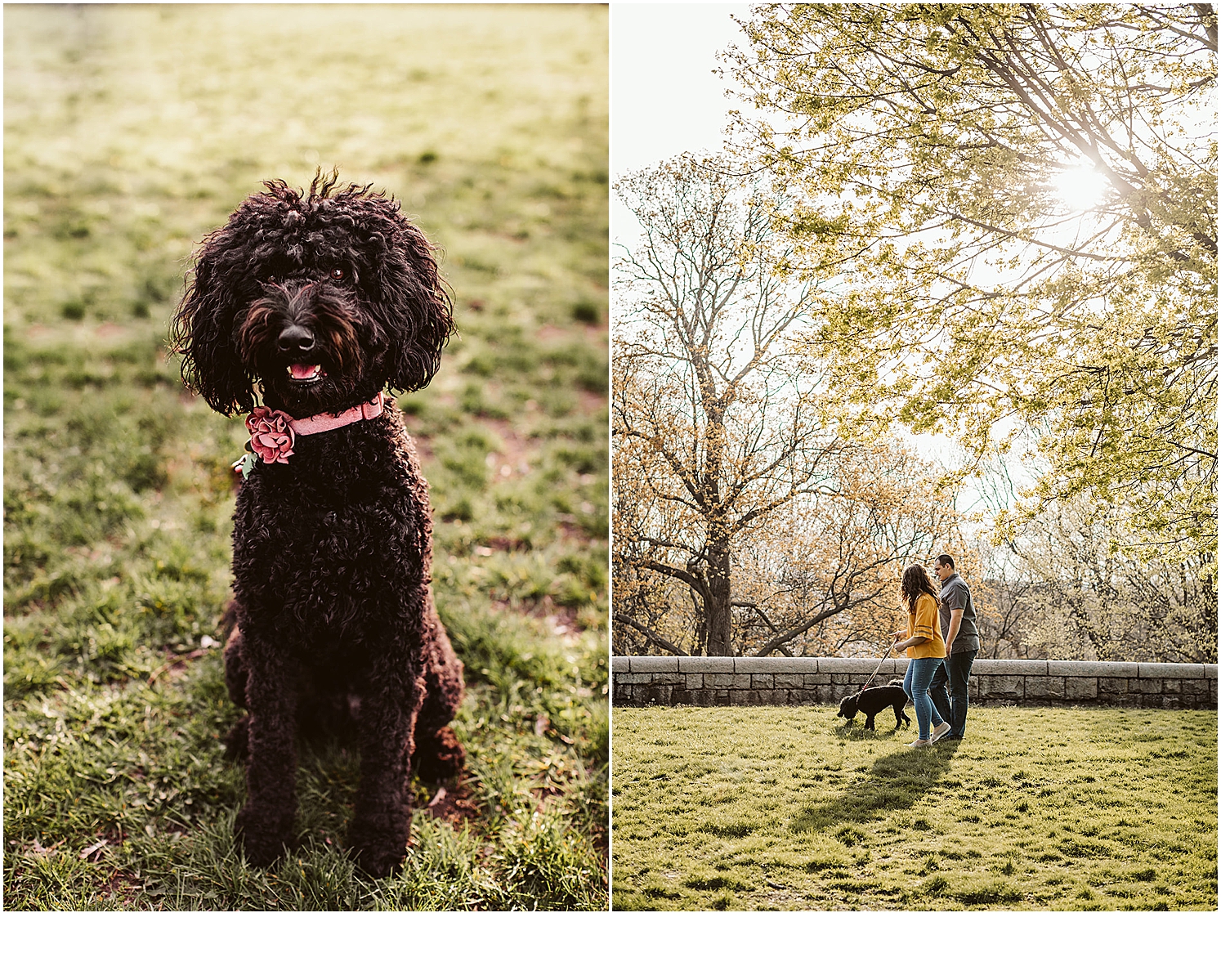 Boston couple engagement photos in the park with their dog